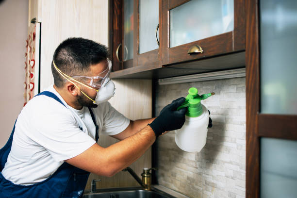 Best Best Pest Control Companies  in Berkshire Lakes, FL