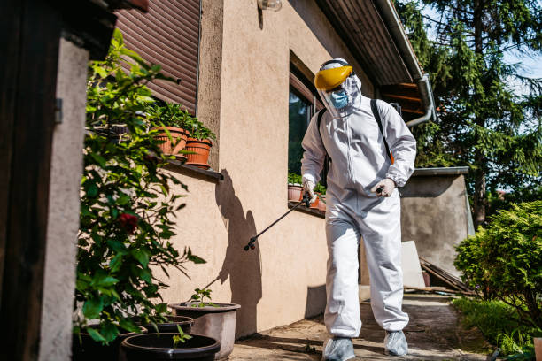 Best Emergency Pest Control  in Berkshire Lakes, FL