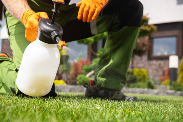 Professional Pest Control in Berkshire Lakes, FL