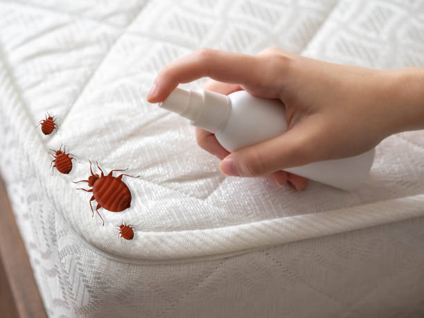 Best Pest Removal Services  in Berkshire Lakes, FL