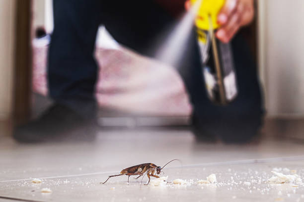 Best Pest Prevention Services  in Berkshire Lakes, FL