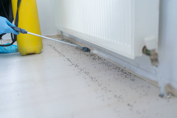 Best Emergency Pest Control  in Berkshire Lakes, FL